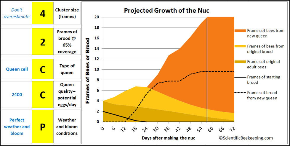 Modeling Nuc Buildup Scientific Beekeeping