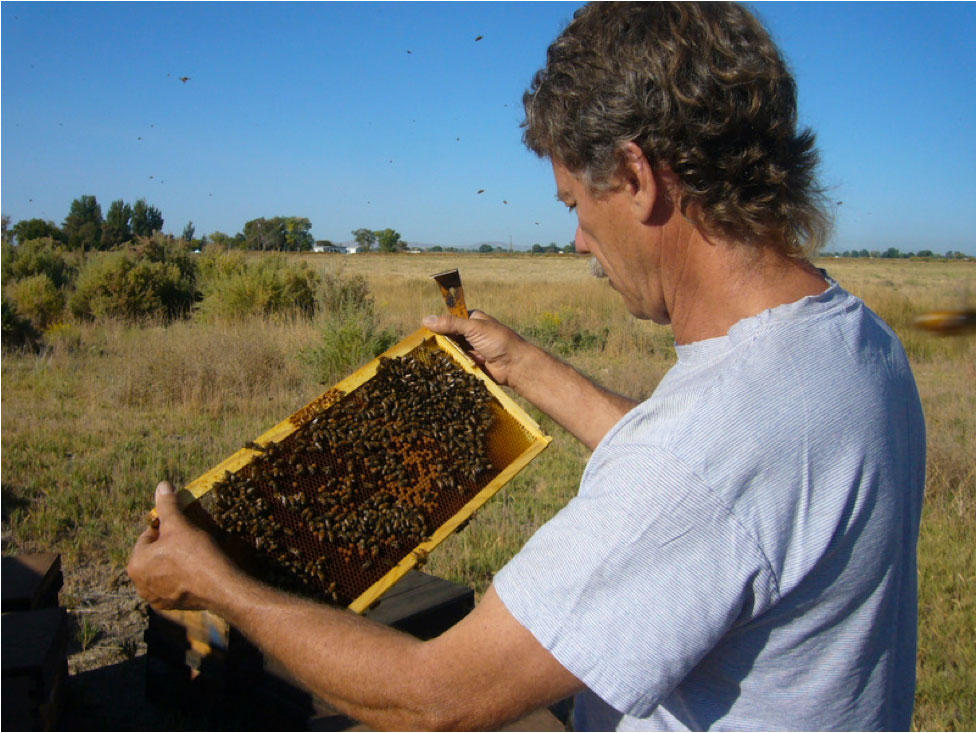 Sick Bees Part 10: Step 2 Step 2