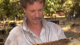Scientific Beekeeping