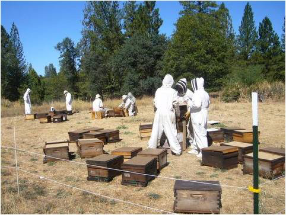 Western Maryland Apiaries - Frederick Backyard Beekeepers Association