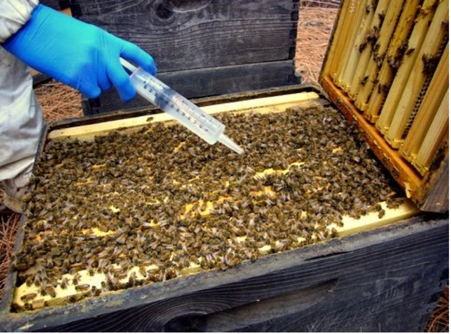 Bee Vaporizer Oxalic Acid Formic Evaporator Beekeeping Sterilization Tools 