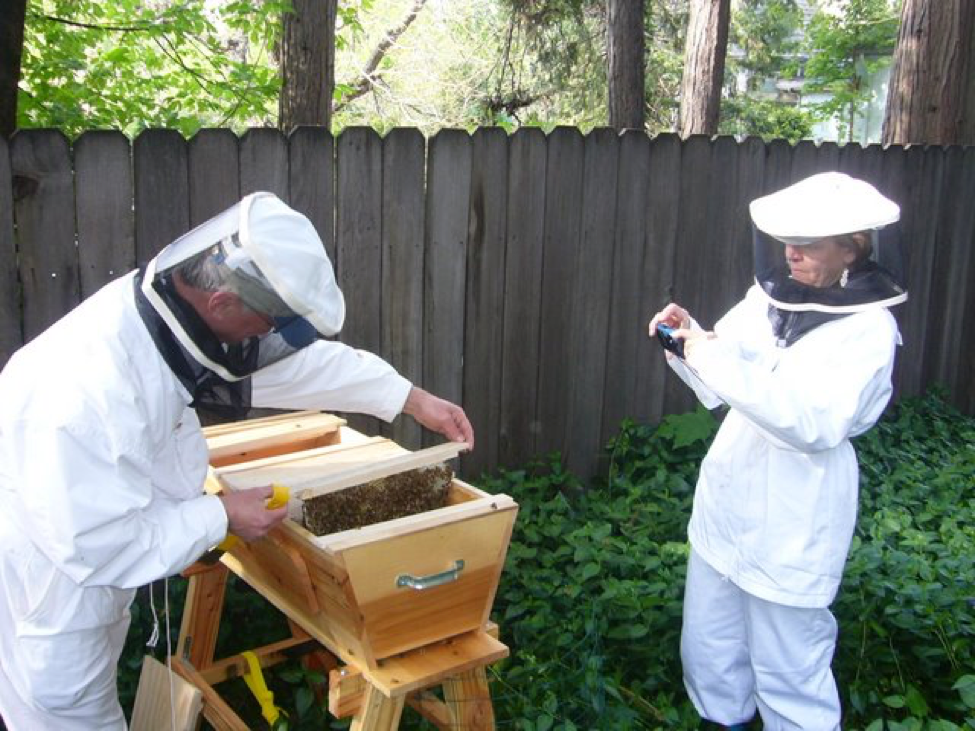 Honey Entrance Feeder Beekeeping Beekeeper Bee Keeping New Tool Hive Equip W4M1 