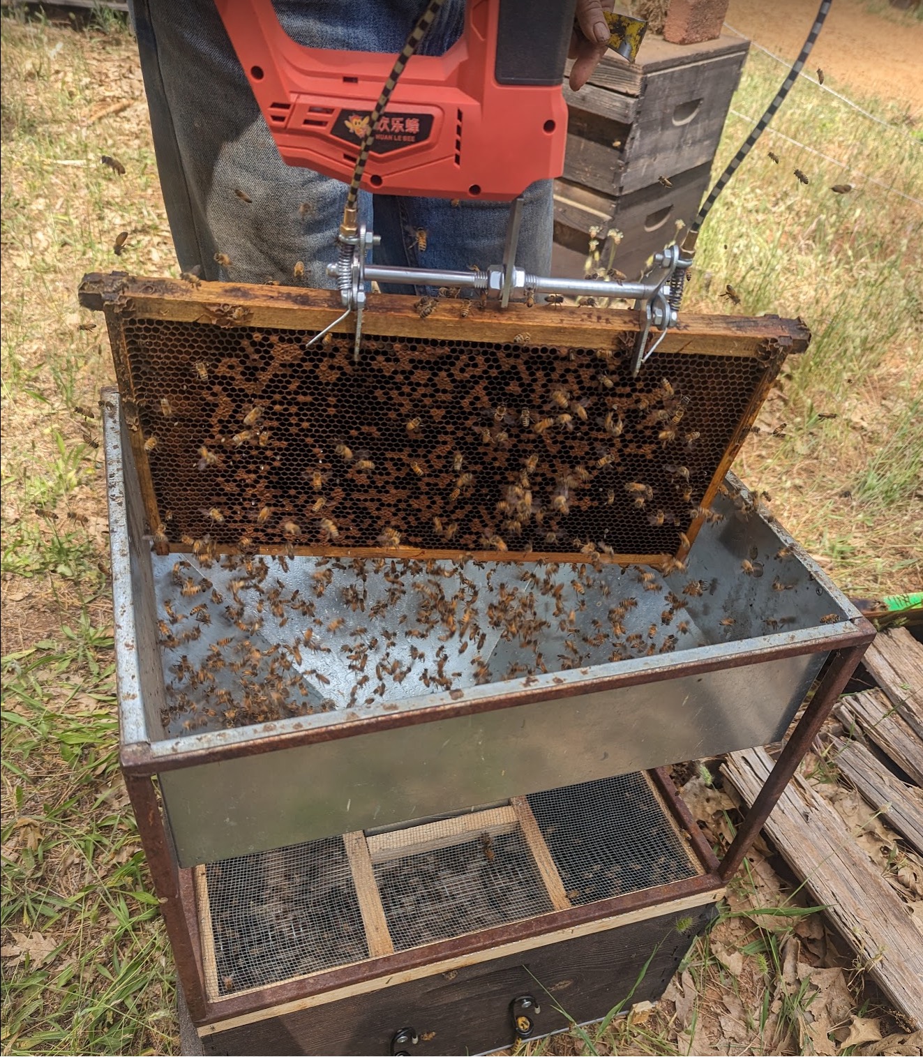 Drones and Varroa: Part 2 - Scientific Beekeeping