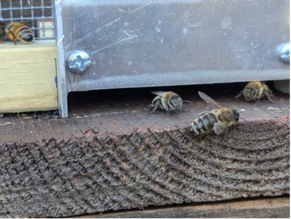 Robbing Screens Part 9: Designing a Robbing Screen that Works in ...