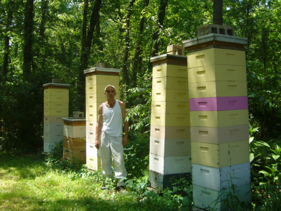 The Extinction of the Honey Bee? - Scientific Beekeeping