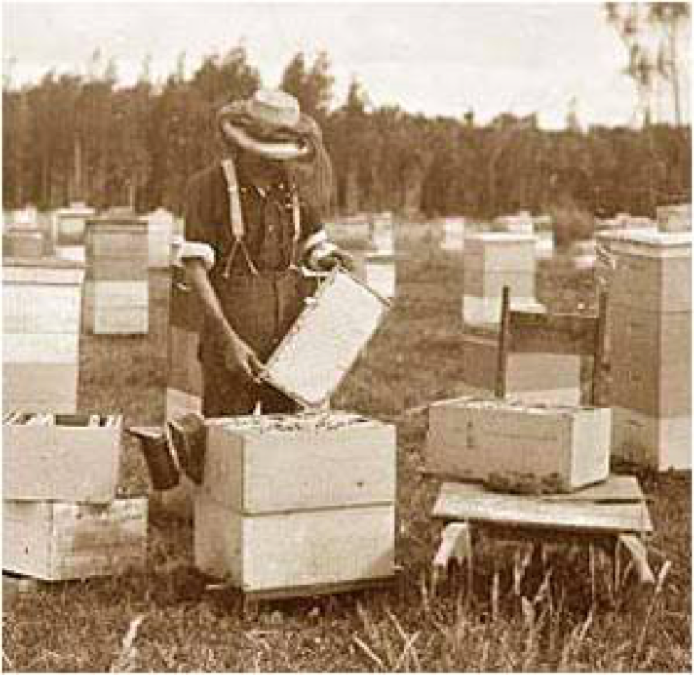 4 Important Best Practices for Any Beekeeper