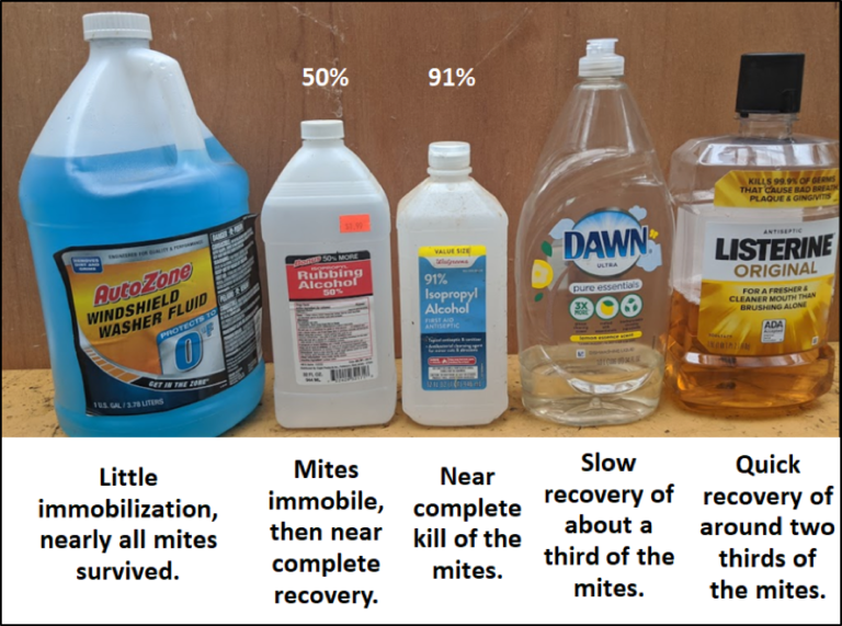 Refining the Mite Wash Part 4 Comparing the Release Agents