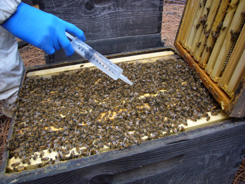 Colorado Bee Pollen 4 oz. - Rocky Mountain Bee Supply