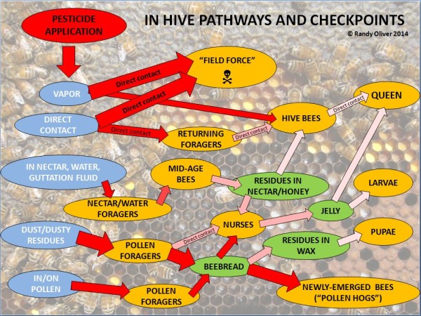 Pesticide exposure pathways