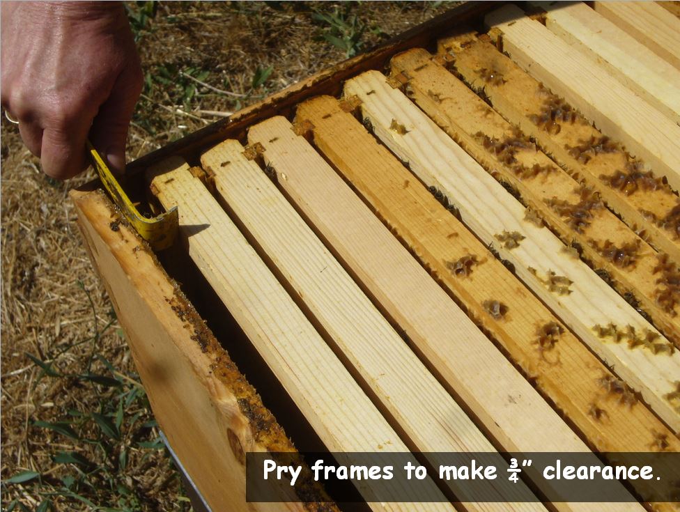 8 Styles Beehive Frames Beekeeping Bee Hive Honey Unique  Raw Bee Hive Pine Wood 